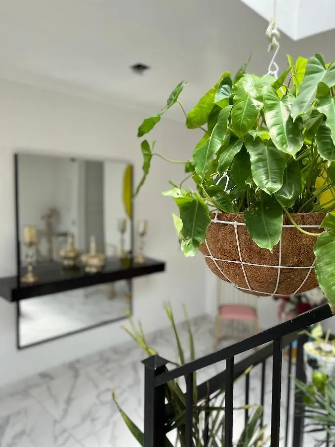 Le Marie B&B Cartagena  Gasthof