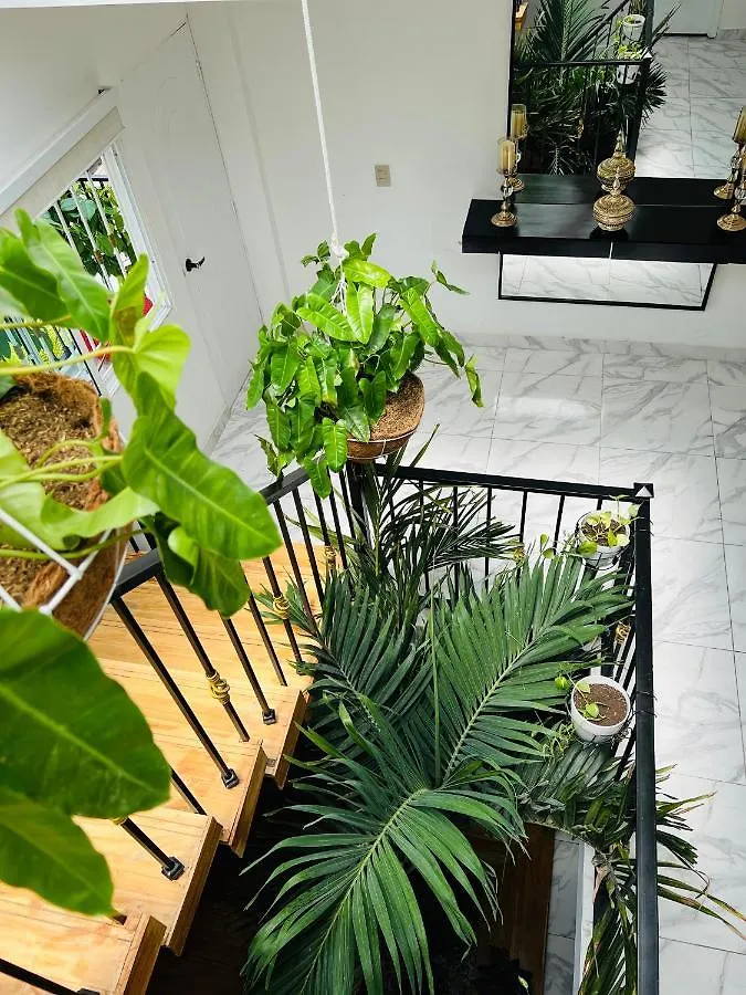 Guest house Le Marie B&B Cartagena
