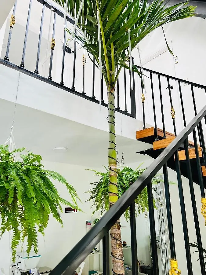Le Marie B&B Картахена Колумбия